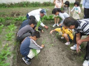 野菜作り広場