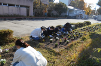 花いっぱい運動1