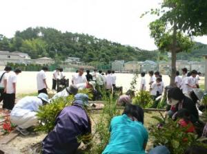 花の植え付け