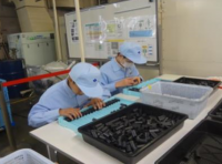 職業体験