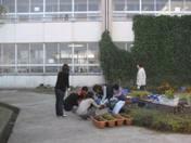プランターへの苗植の様子