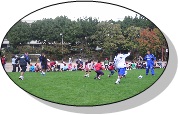 画像です。芝生上で行われる子育てサロン