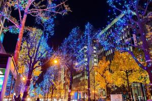 御堂筋イルミネーションの写真1