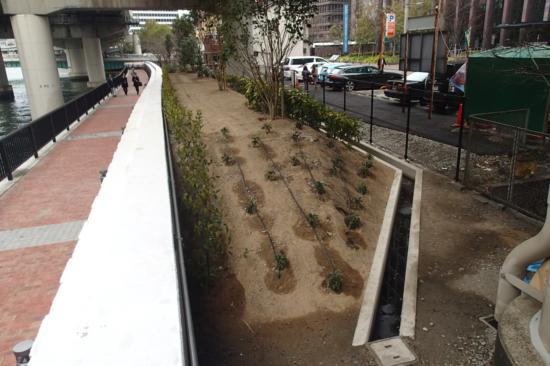 遊歩道緑化