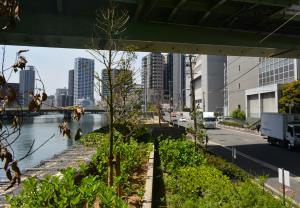 堂島川緑化