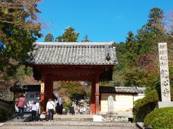 観心寺でクラシックを楽しむ会3