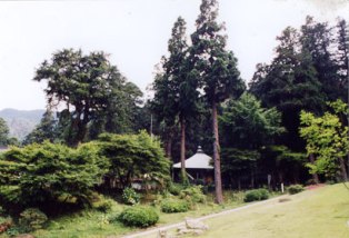 府指定名勝岩湧山