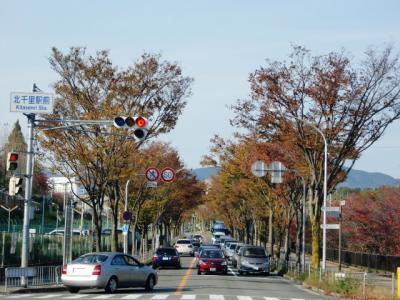箕面摂津線の街路樹