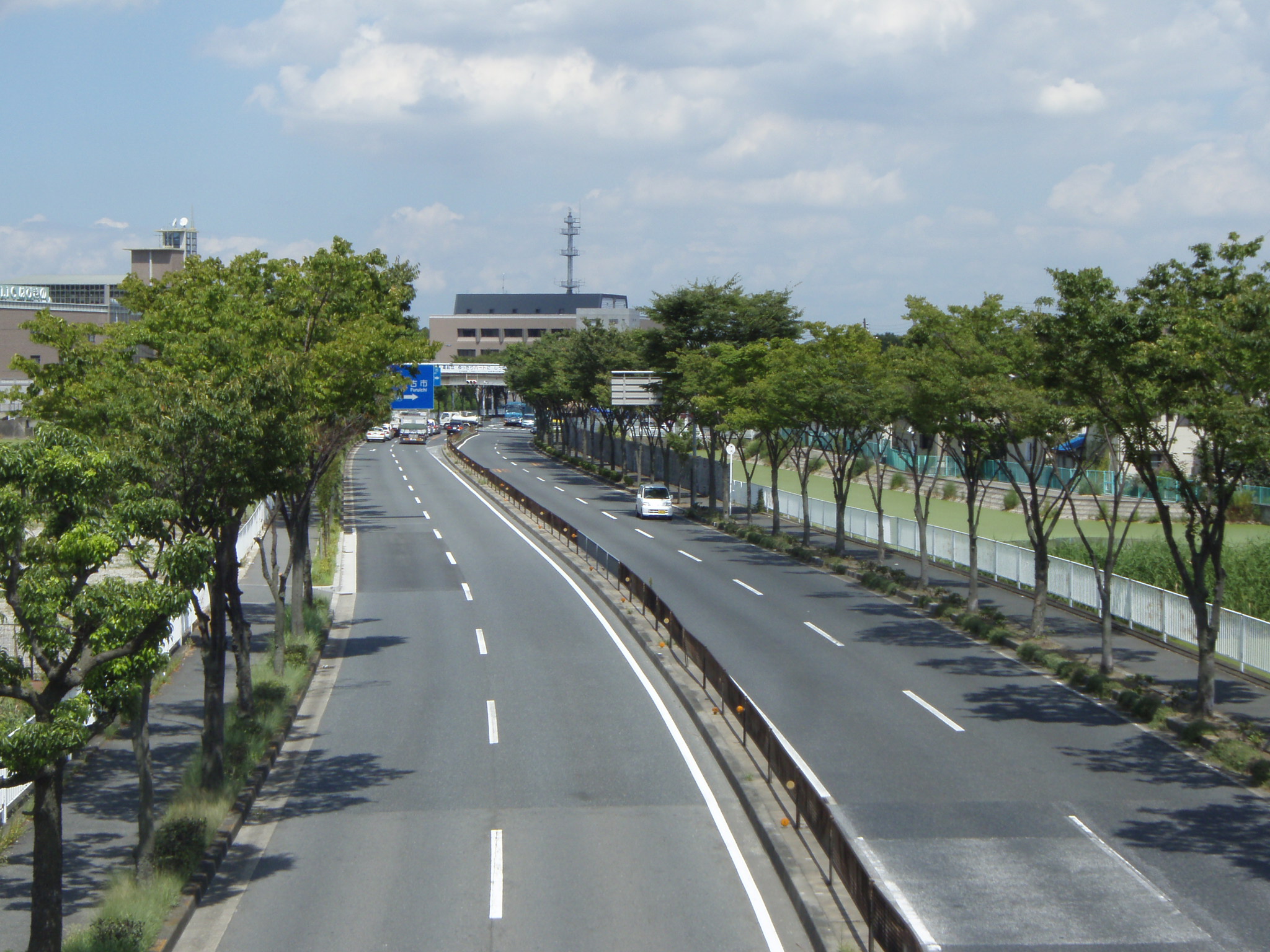 国道170号の街路樹