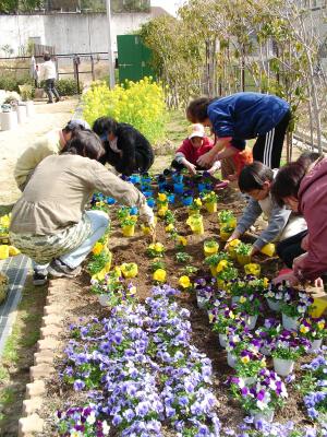 上野小の植え付けの様子