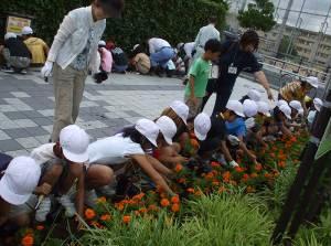 高鷲の植え付けの様子