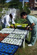 必要に応じて雑草抜き・施肥など