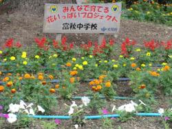 学校花壇への活用