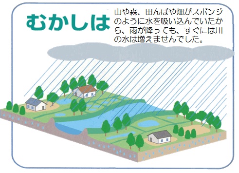 図；昔の流域イメージ。山や森、田んぼや畑がスポンジのように水を吸い込んでいたから、雨が降っても、すぐには川の水は増えませんでした。