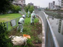 除草作業の写真