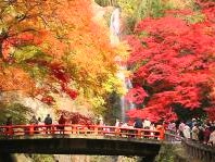 箕面公園