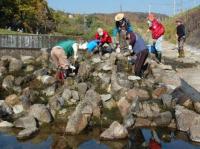 小わざ魚道補修状況