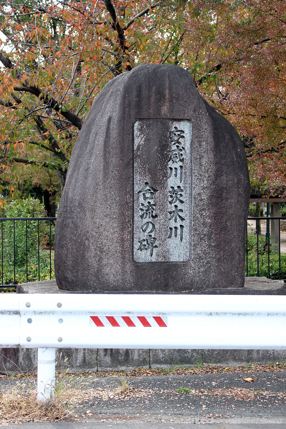 茨木1