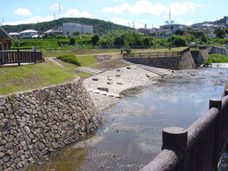 画像です。アドプトリバー茶屋川親水公園2