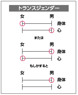 ワークシート1の4つの指標に丸をつけた図：「身体は女」で「心は男」に丸がついている。または、「身体は男」で「心は女」、もしかすると、「身体は男」に丸がついているが、心は丸がついていない。