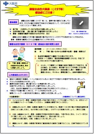府作成チラシ（O157）