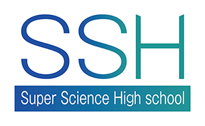ssh_logo_usage