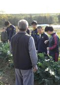 学校支援ボランティア活動3