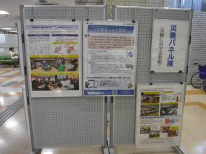 展示の様子