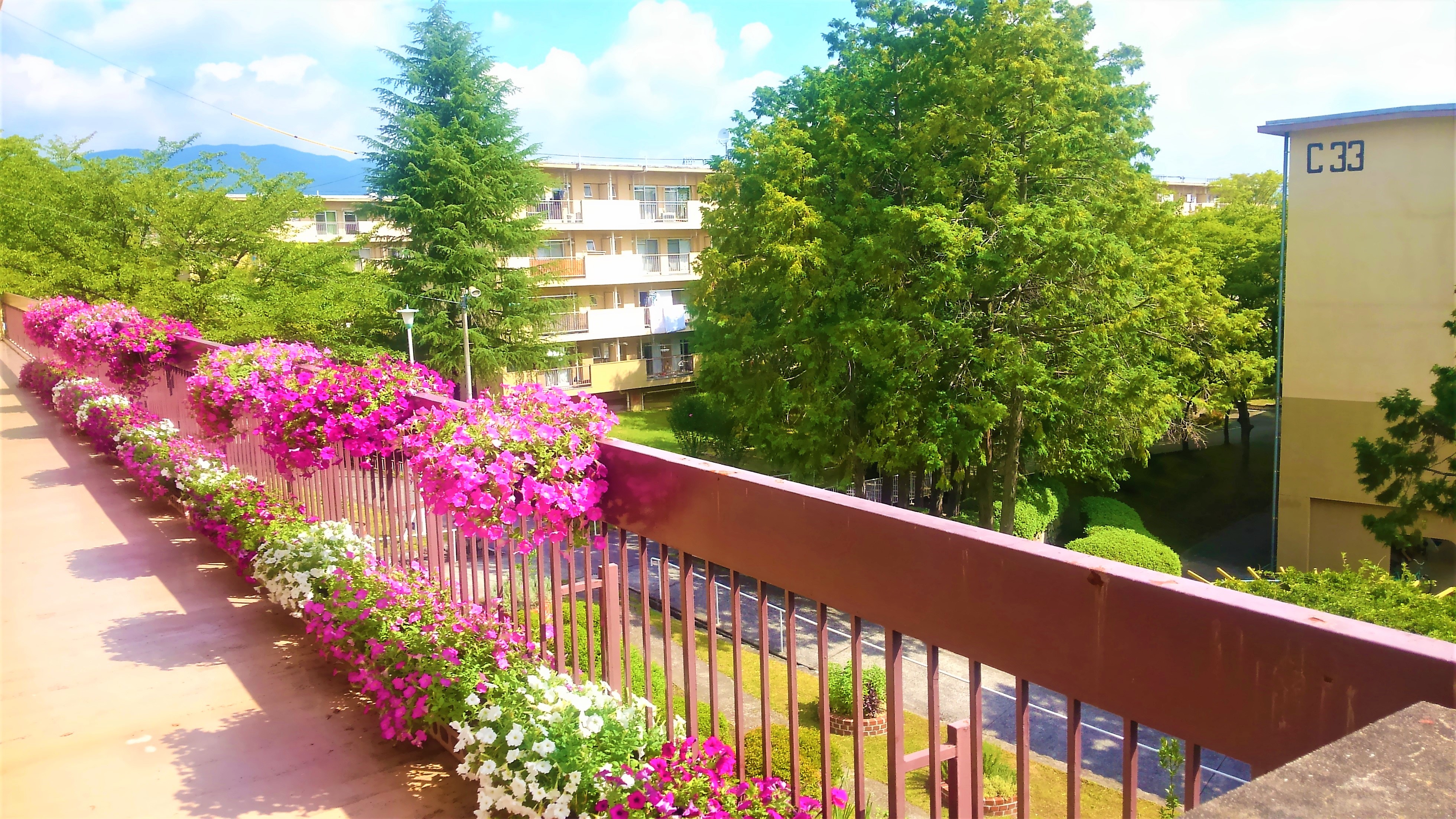 みんなの庭プロジェクトの写真その1