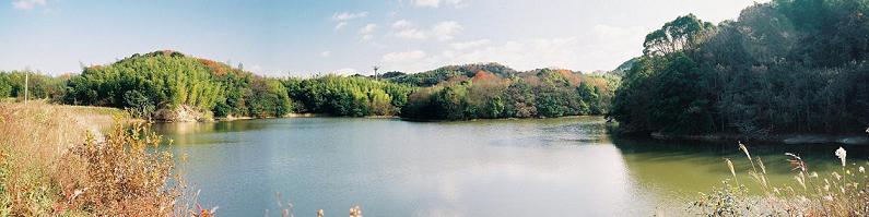 向井池