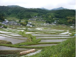 日本の棚田百選の長谷