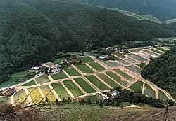 能勢町岐尼地区整備後