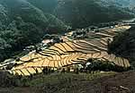 能勢町岐尼地区整備前