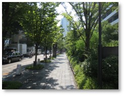 遊歩道空間の写真