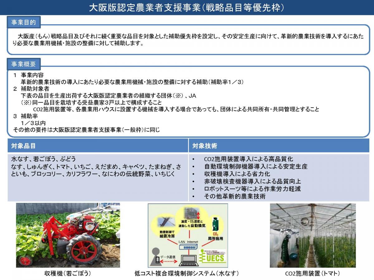 戦略品目等優先枠の概要
