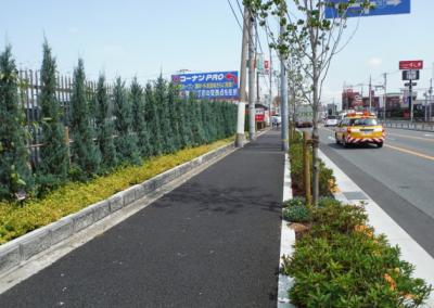 ホームセンターコーナン松原市役所前の緑化写真