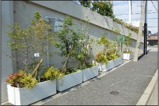大阪信用金庫豊中支店の緑化の写真1