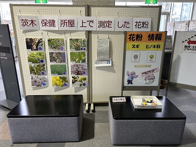 花粉情報に関すること（その1）