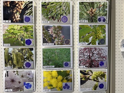 花粉情報に関すること（その2）