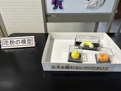 花粉情報に関すること（その5）