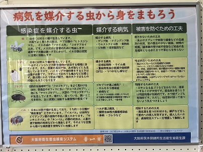 病気を媒介する虫に関すること（その2）