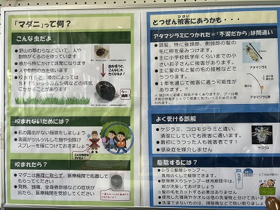 病気を媒介する虫に関すること（その3）