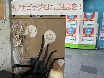 病気を媒介する虫に関すること（その6）