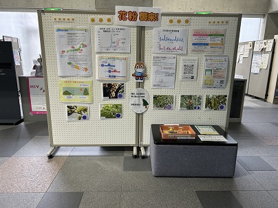 【写真】ロビー展示全体