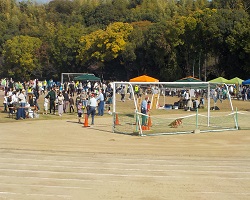 寝屋川公園フェスティバル
