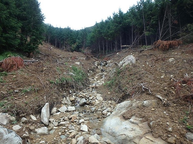 能勢町山内地区崩壊地の近景
