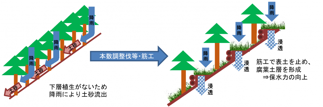 森林整備イメージ