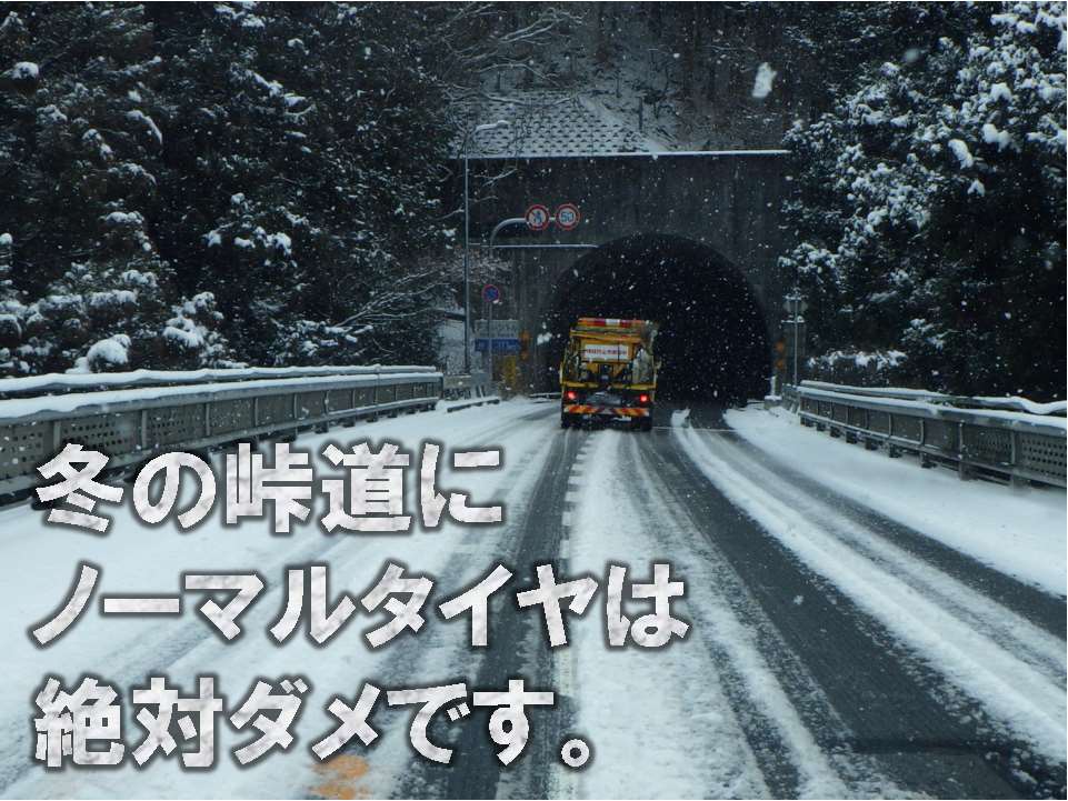 文字入り_散布中