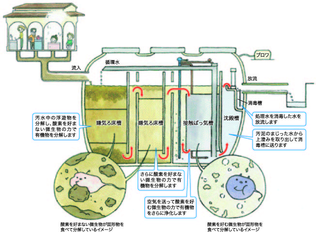 合併処理浄化槽の構造