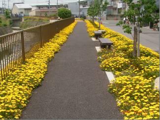 小阪西町自治会、アドプト・リバー・陶器川（堺市）の取組みのページへ